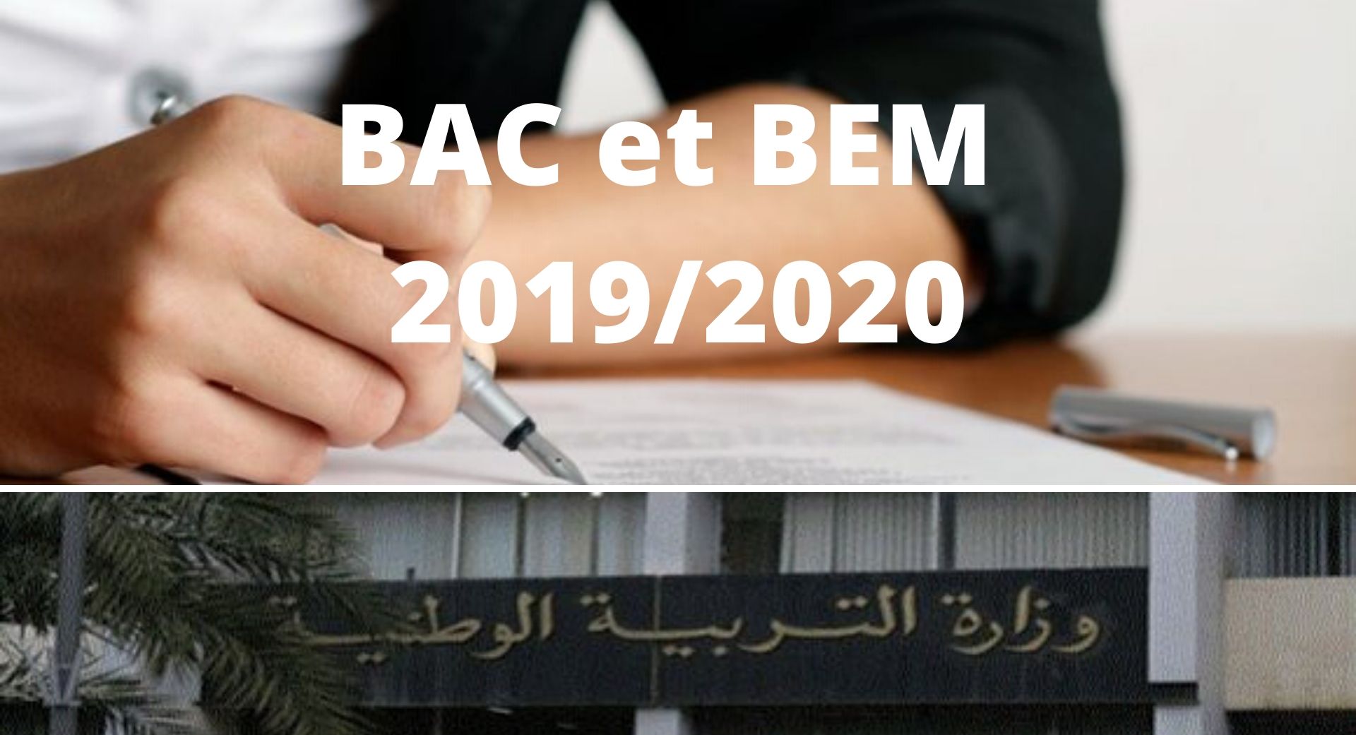 BAC_BEM_EIAF_2020